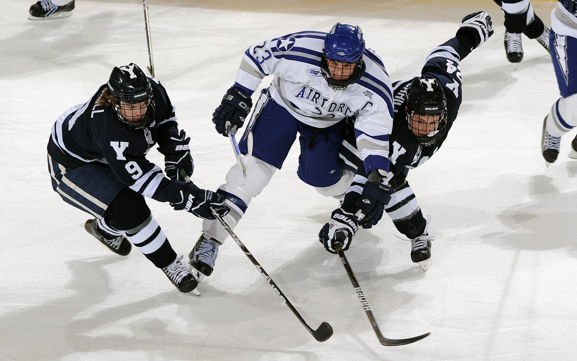 “球迷投稿：最感动的篮球瞬间大盘点”，篮球感人视频